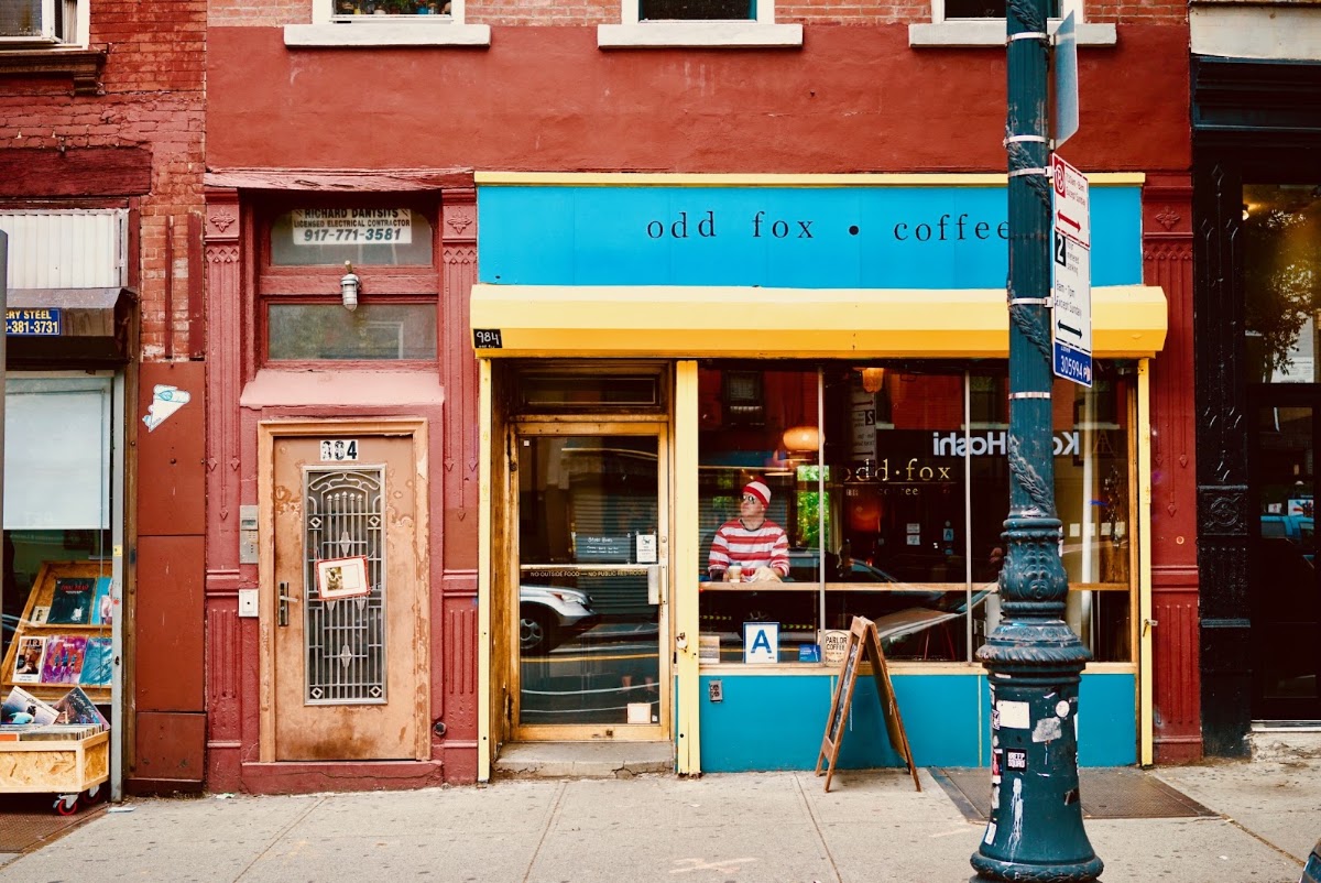 Odd Fox Coffee — café photo 1