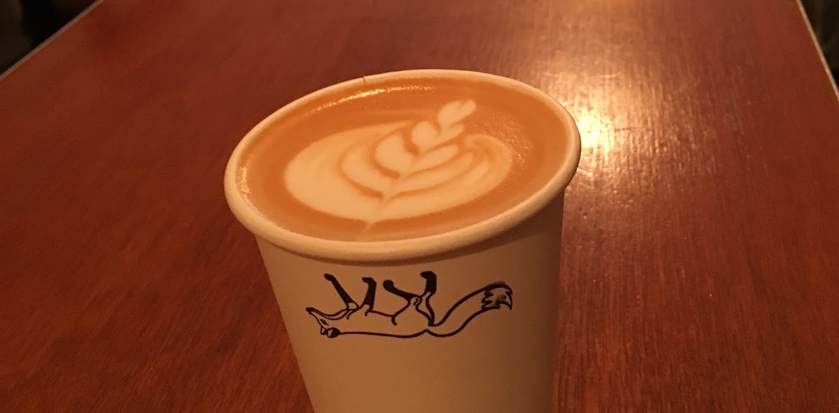 Odd Fox Coffee — café photo 2