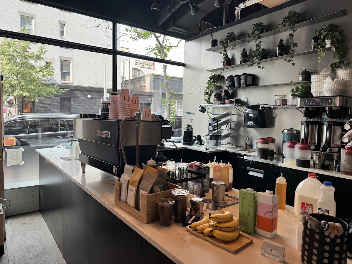 Urbana Cafe & Gallery — café photo 4