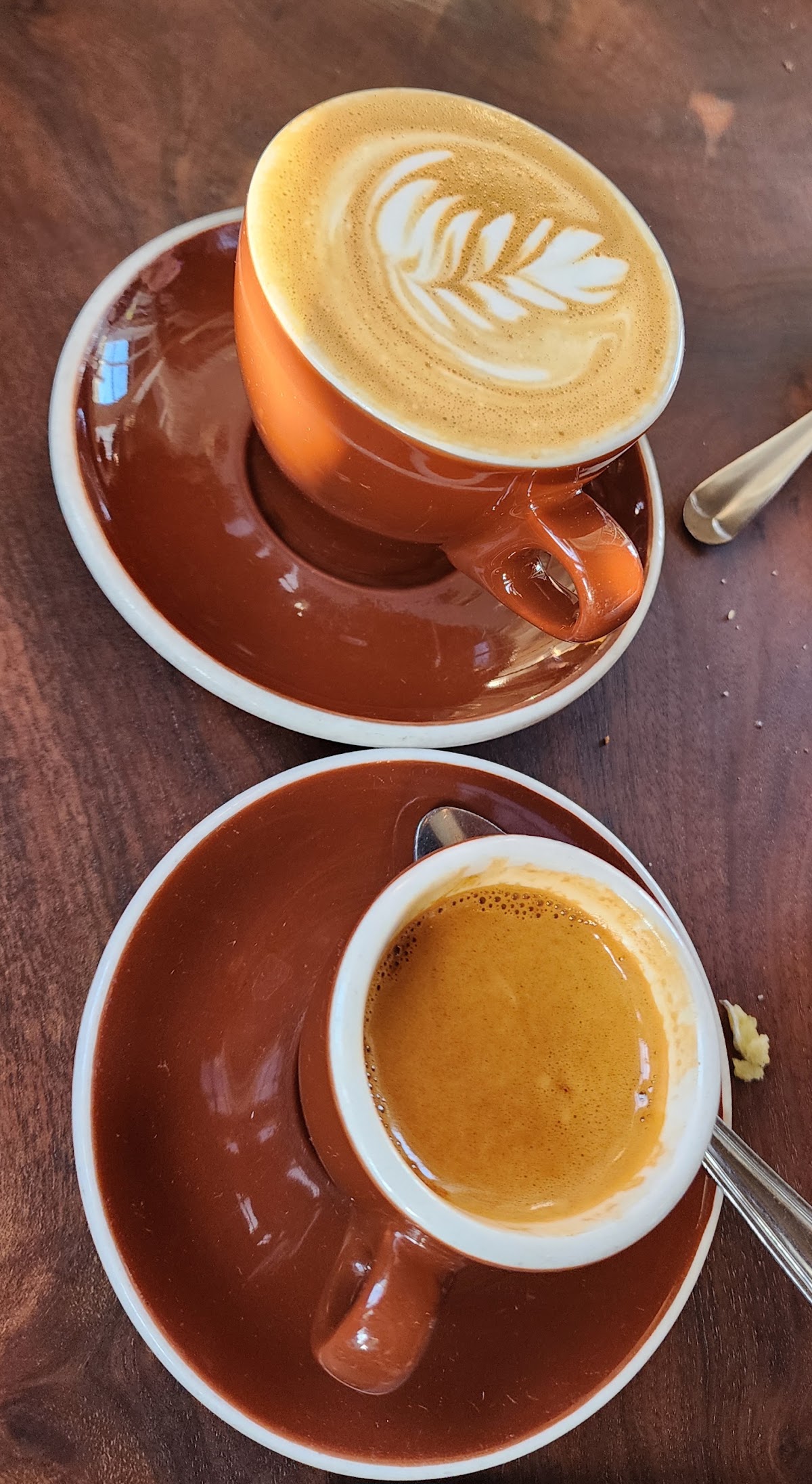 Trouble Coffee & Coconut Club — café photo 6