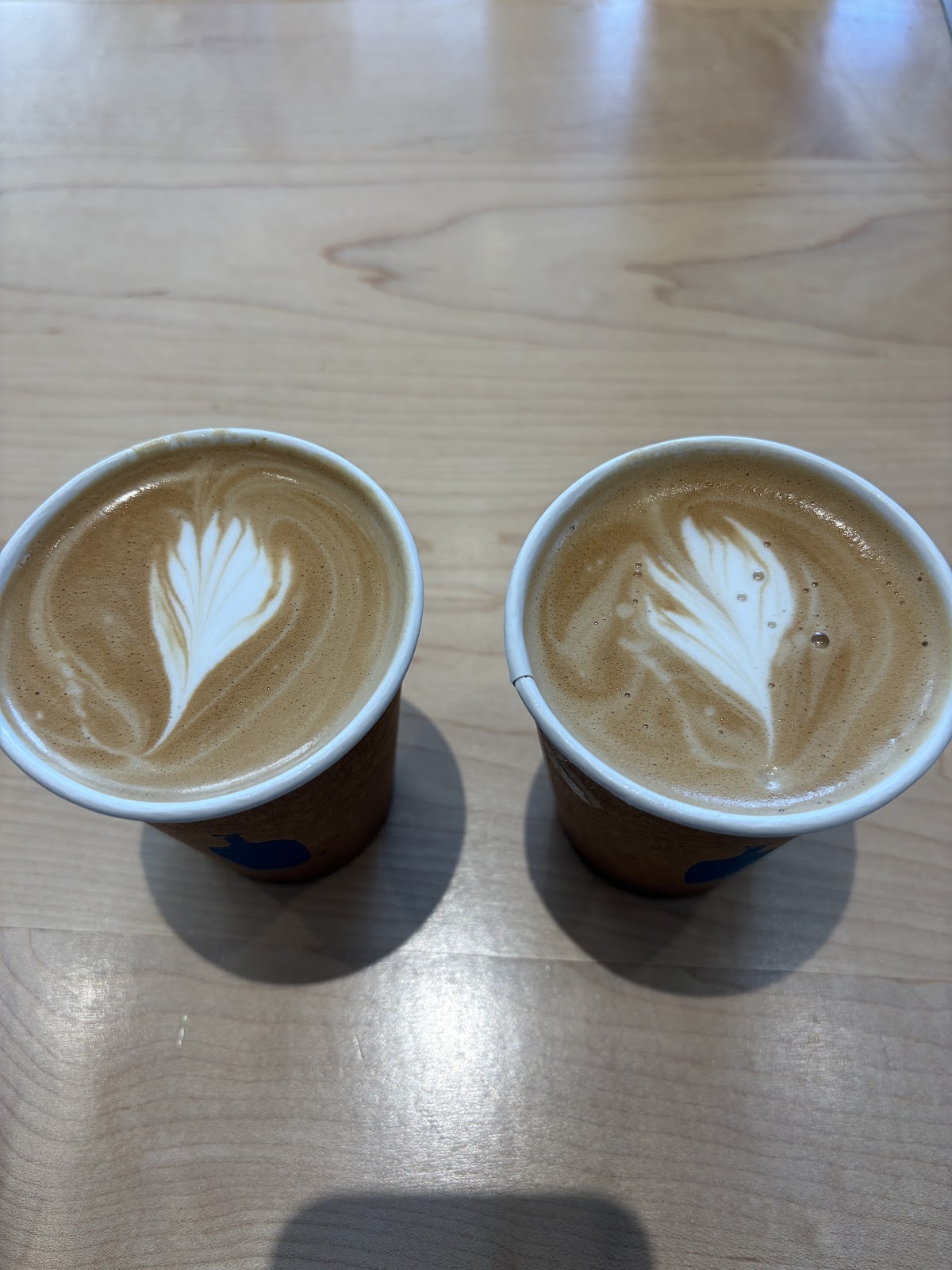 Blue Bottle Coffee MA 02199 — café photo 3