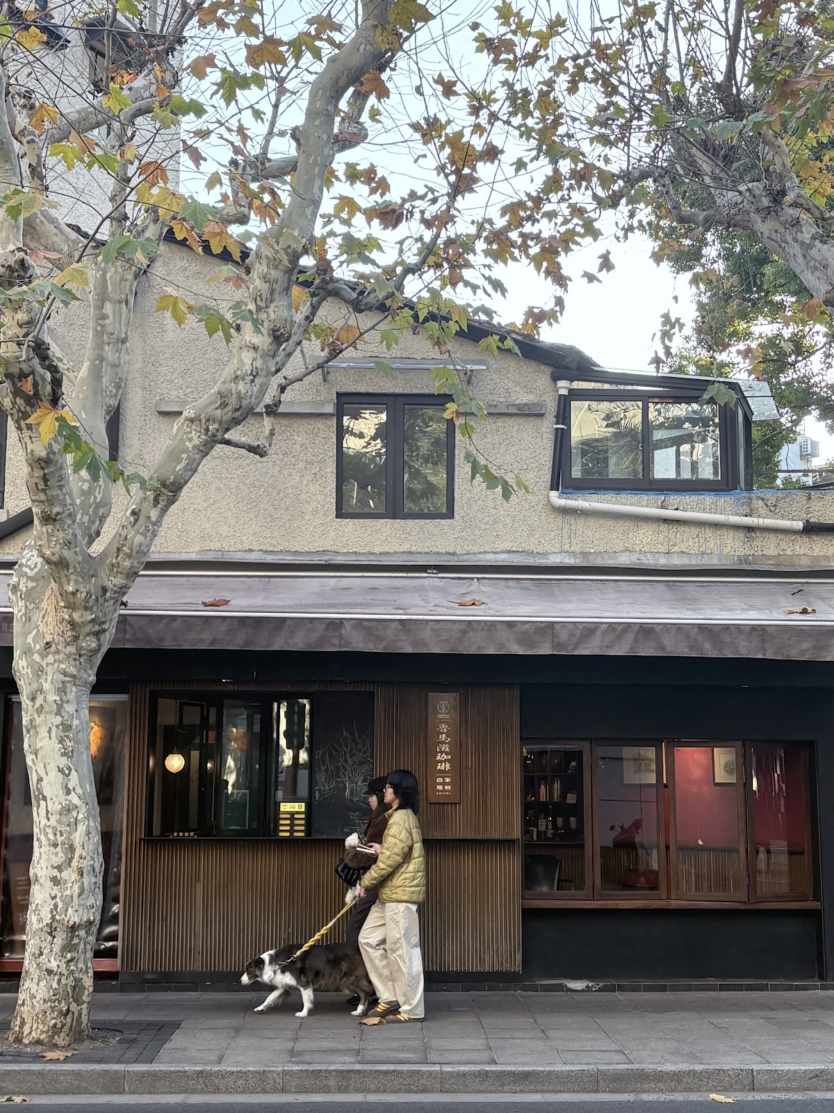 Roaster Family Shanghai — café photo 6