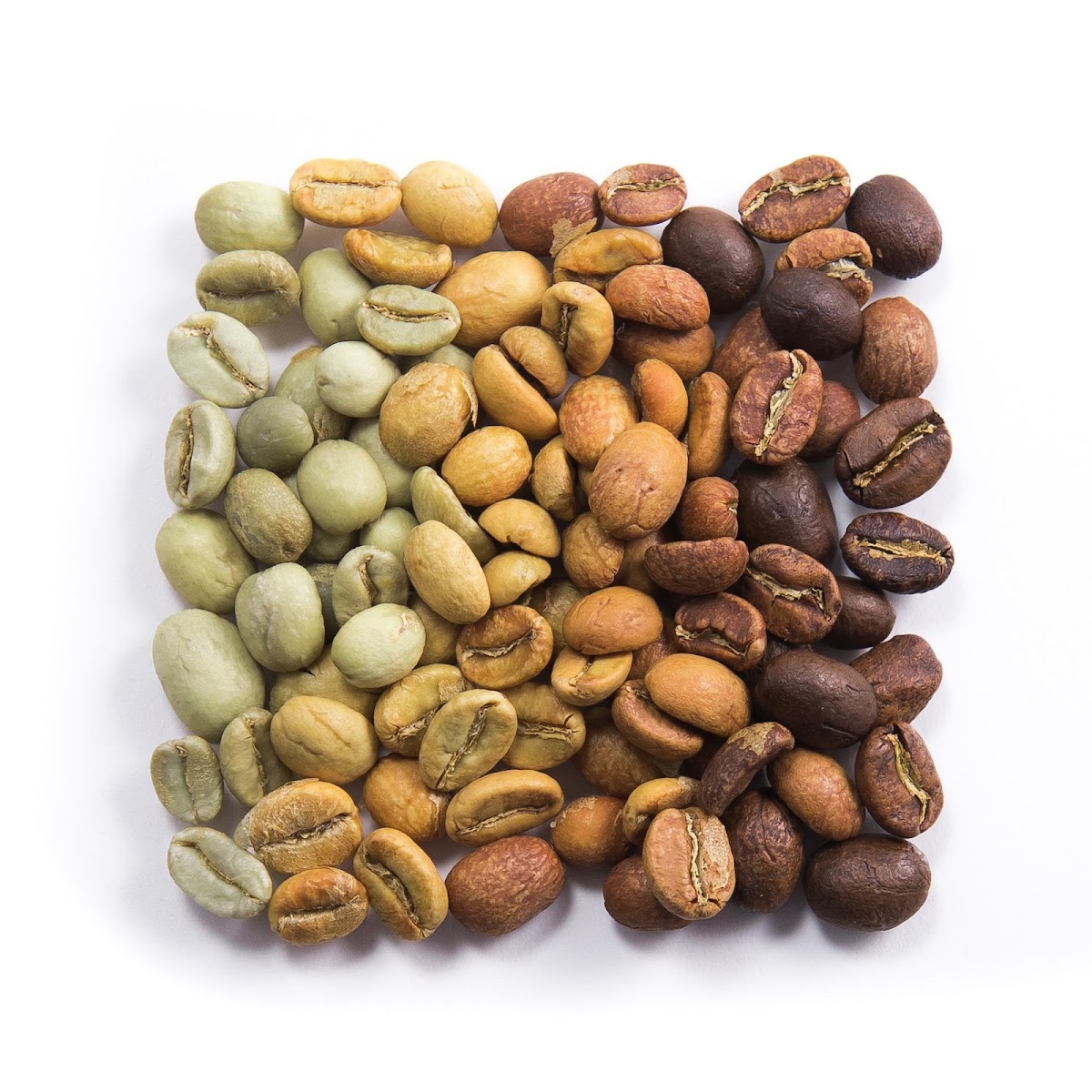 The Beans on Fire — café photo 2