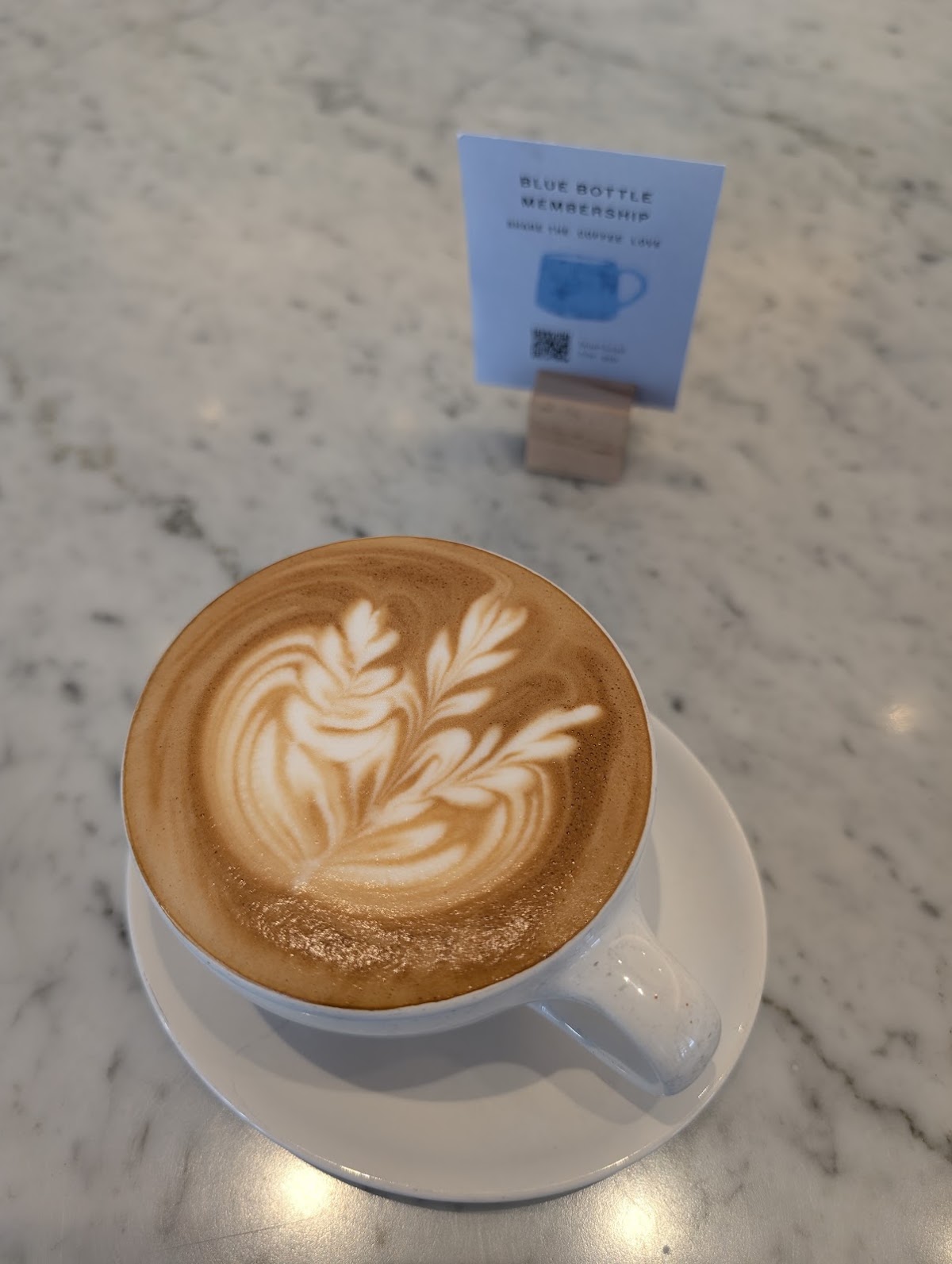 Blue Bottle Coffee CA 94104 — café photo 5