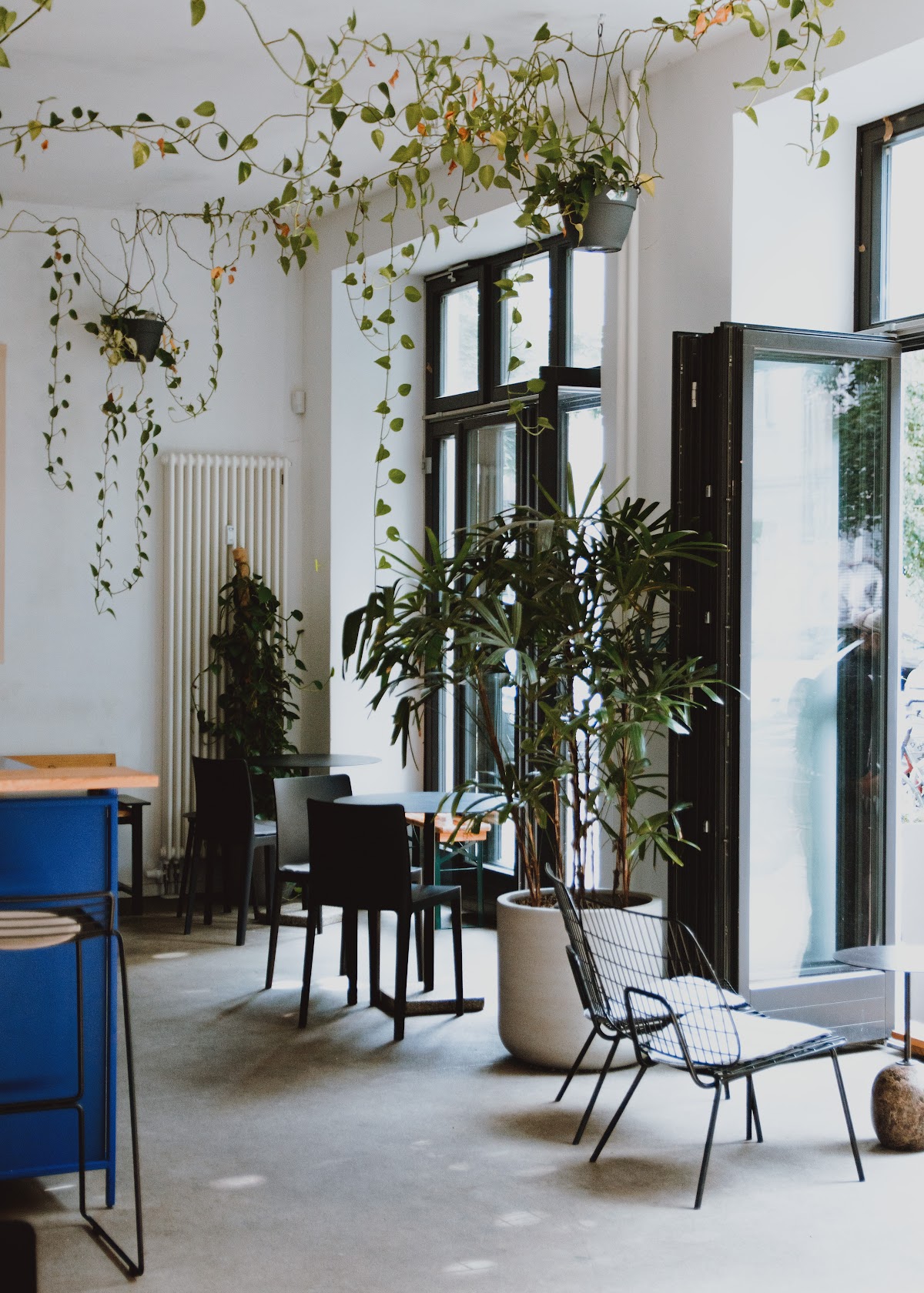 Cafelix Berlin — café photo 3