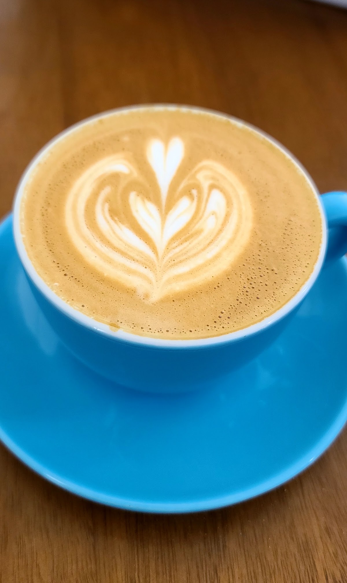 Highlight Coffee — café photo 3