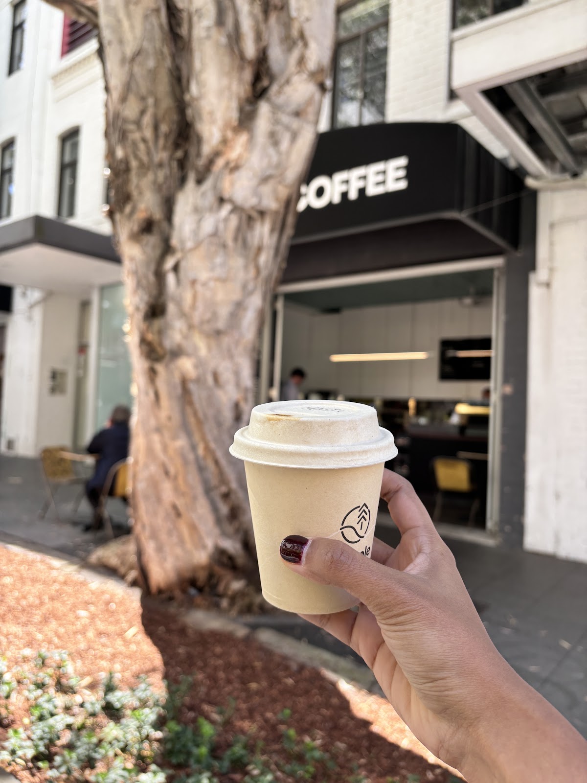 Sample Coffee Surry Hills — café photo 5