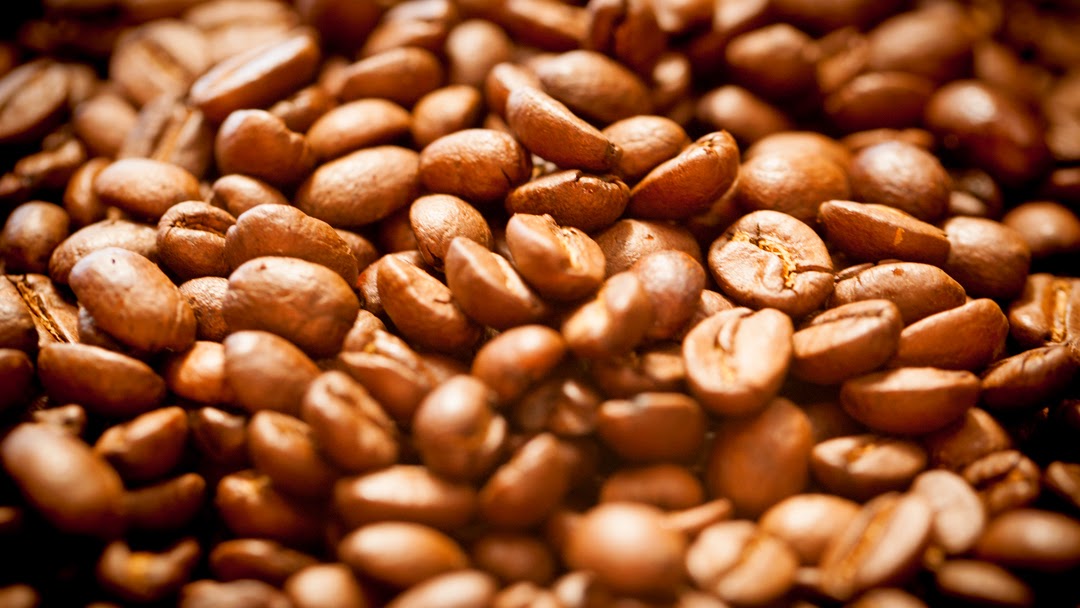 Groundwork Coffee Co. — café photo 2