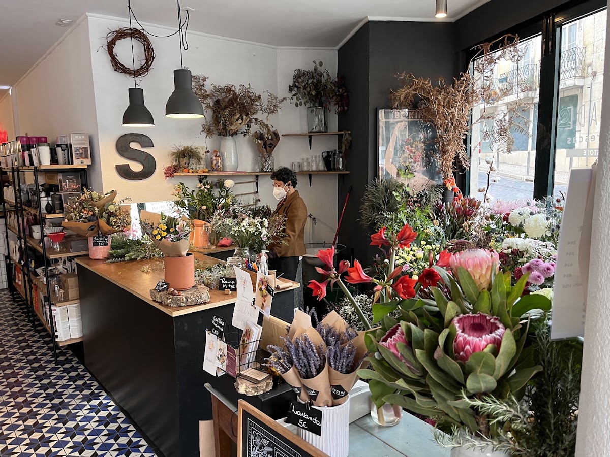 Bloom Coffee House — café photo 5
