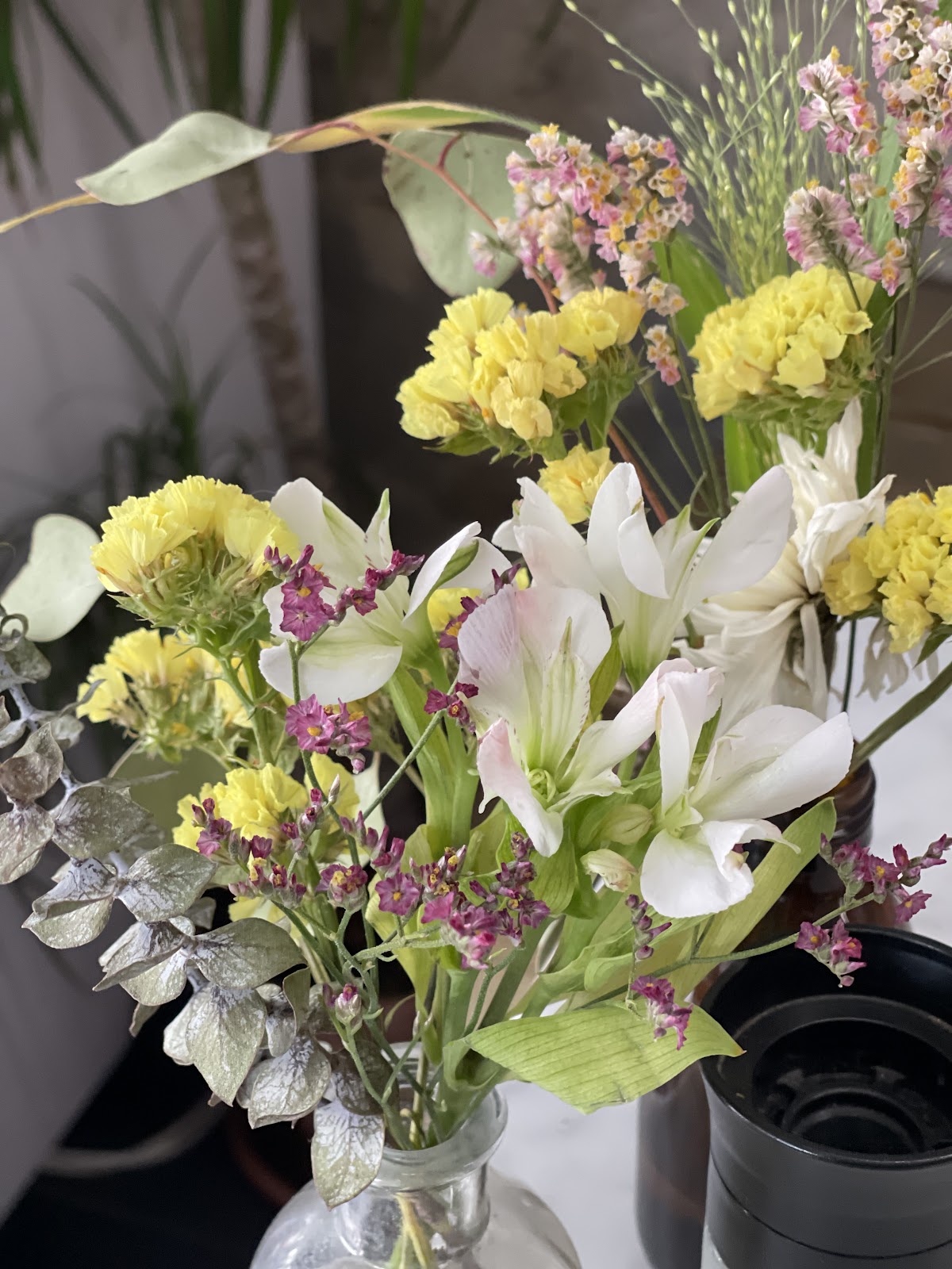 Bloom Coffee House — café photo 6