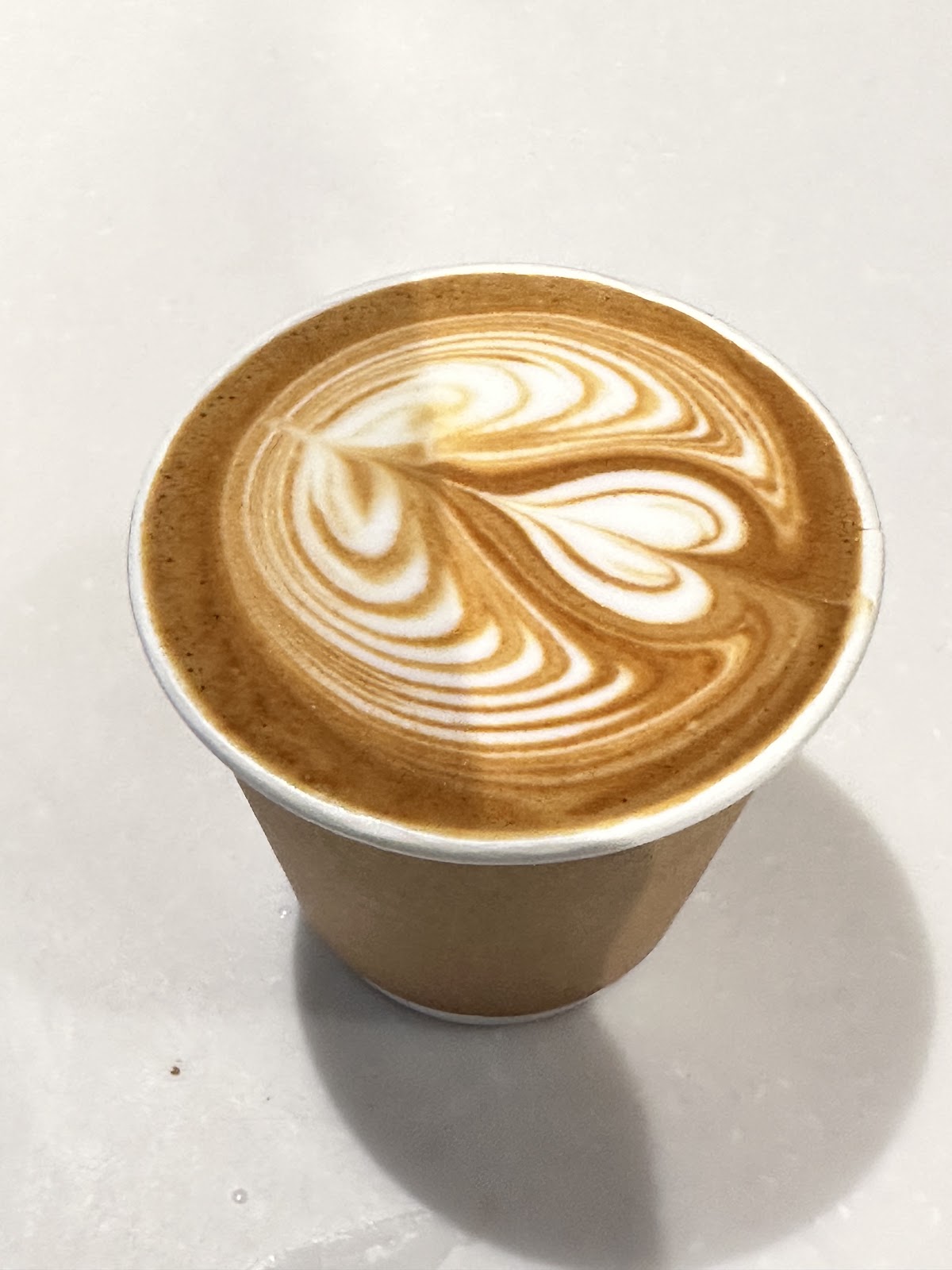% Arabica New York Nolita — café photo 2