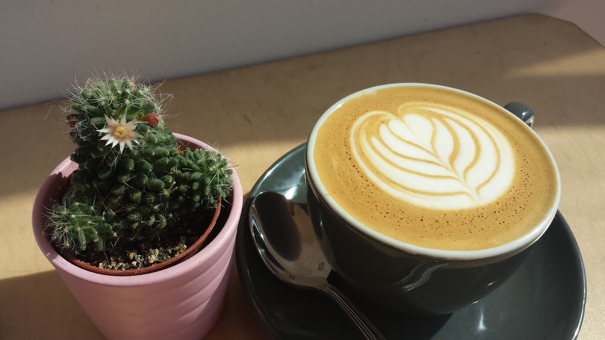 F. Mondays — café photo 2