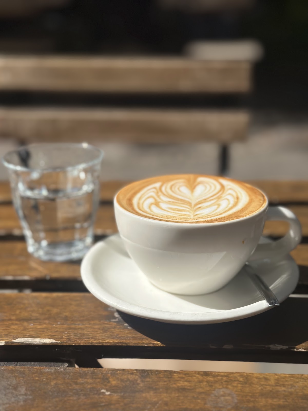 Five Elephant — café photo 3