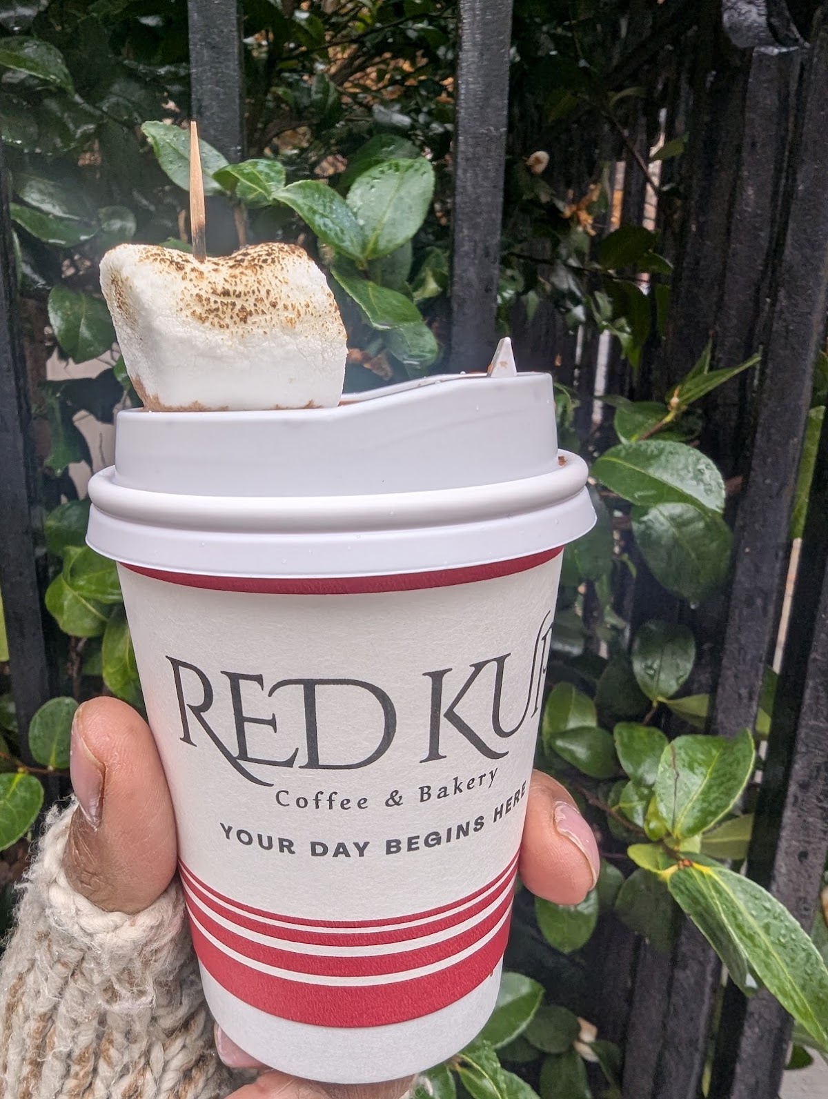 Red Kup — café photo 5