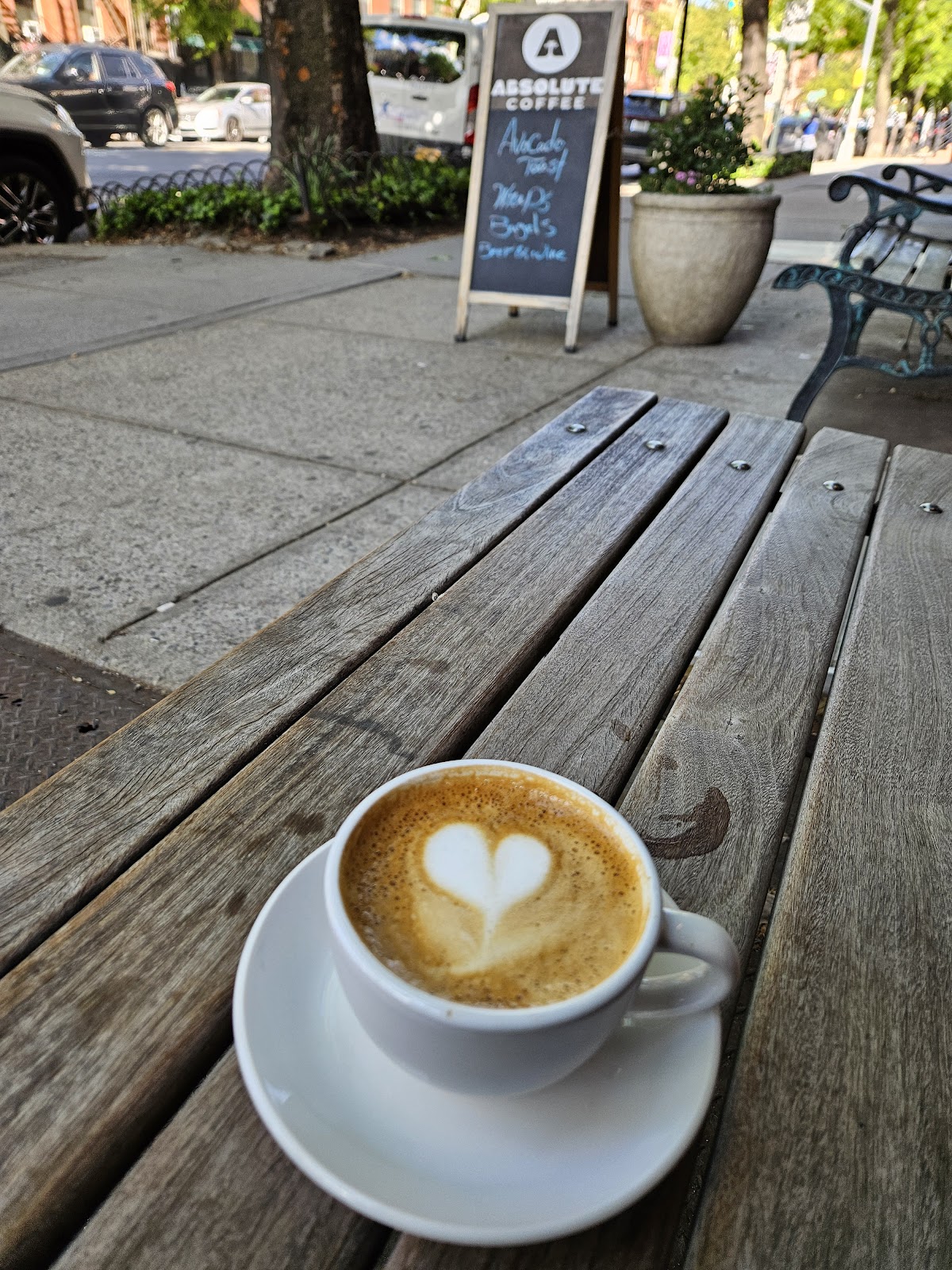 Absolute Coffee — café photo 4