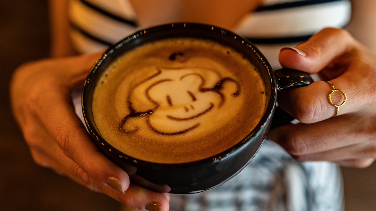 The Monkey Cup — café photo 3