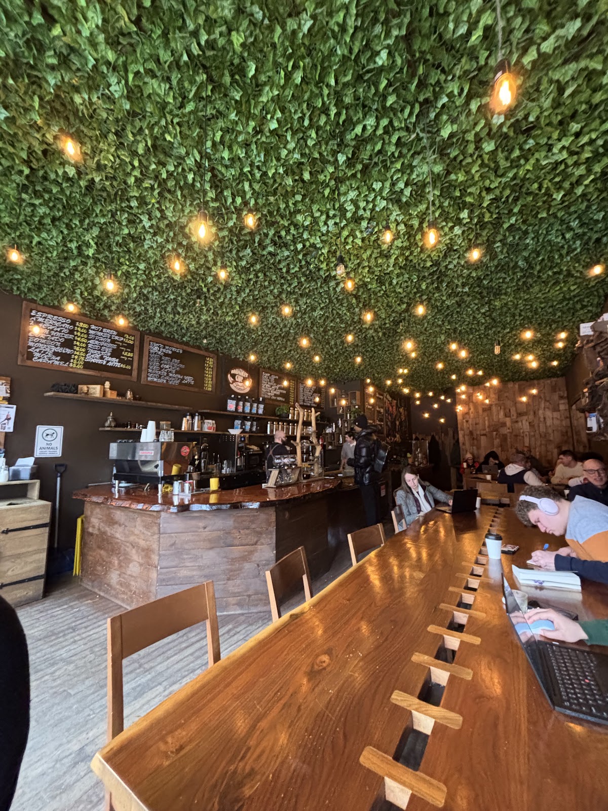 The Monkey Cup — café photo 5