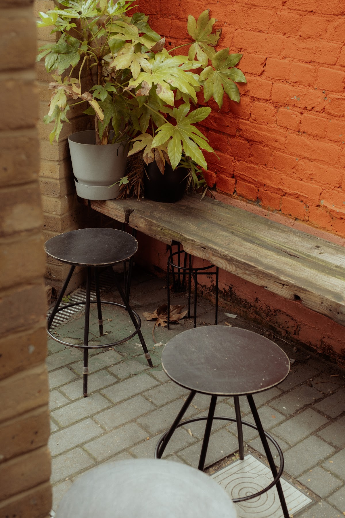 Nostos Coffee — café photo 1