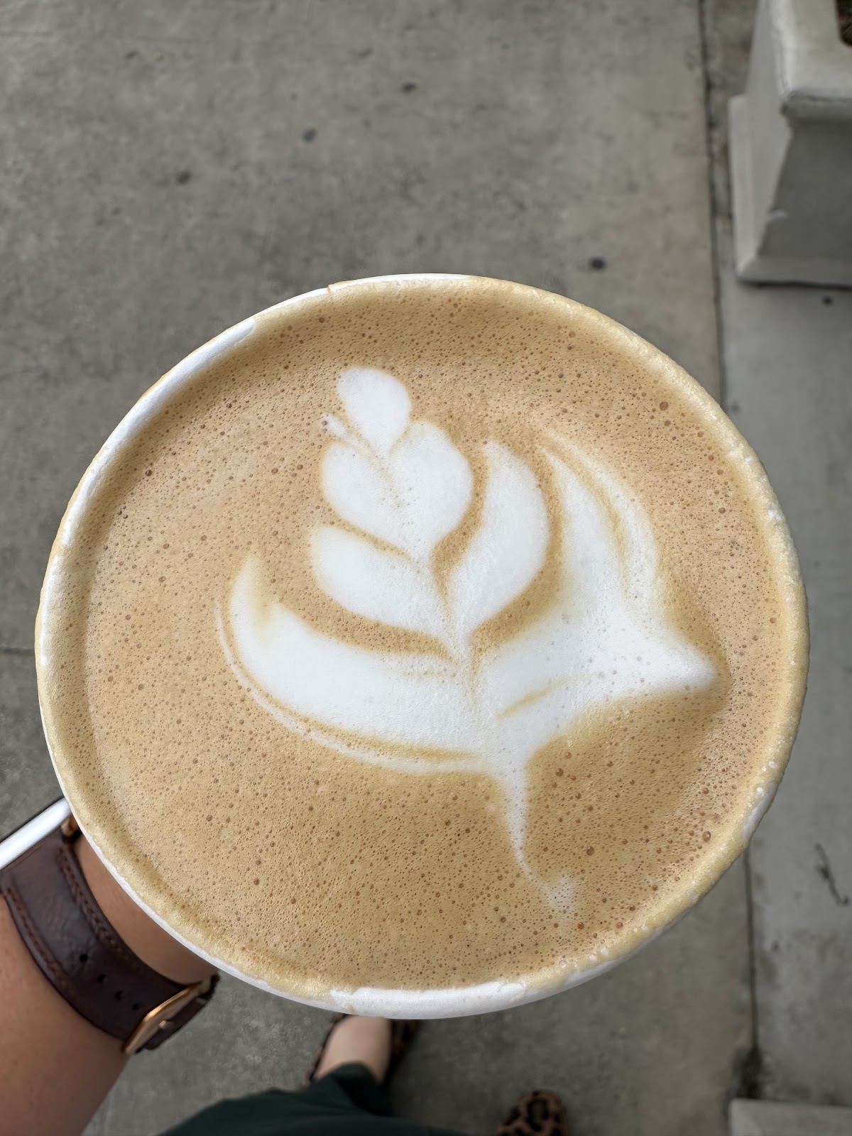 Red Window Coffee — café photo 5