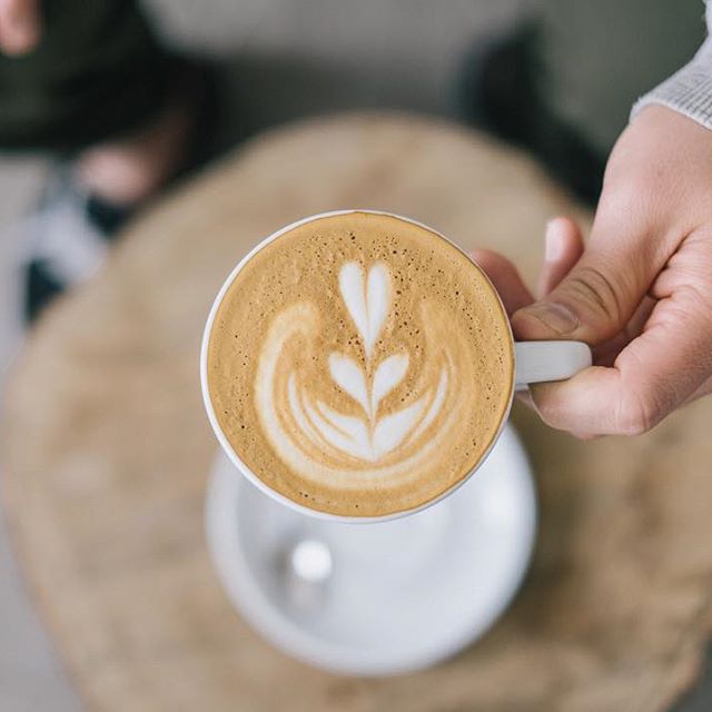 House Roots Coffee — café photo 2