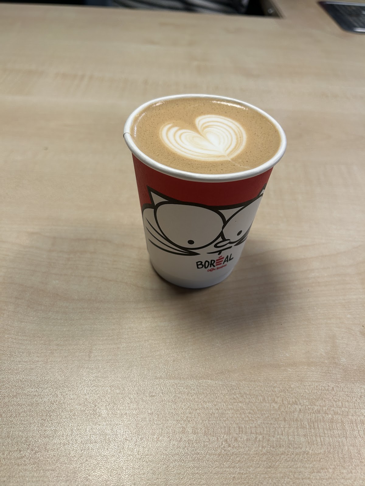 Boréal Coffee Shop Rive — café photo 5