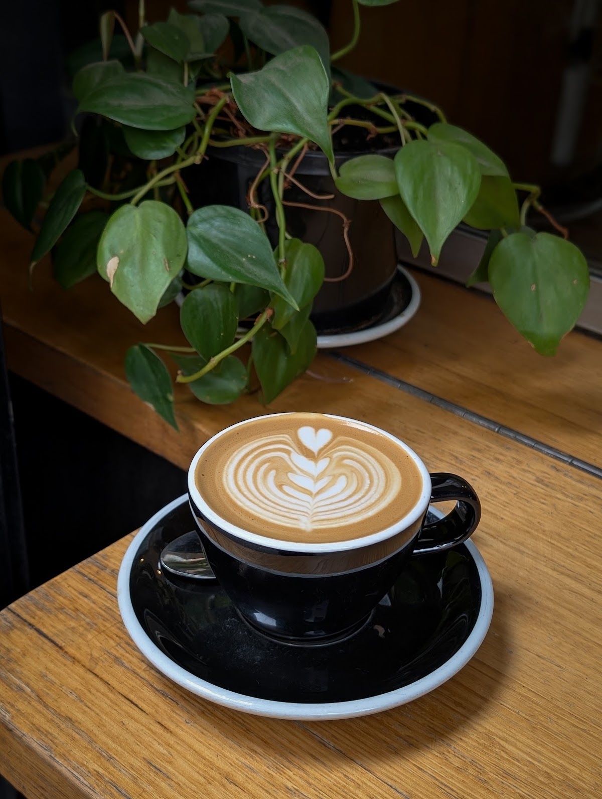 Traveller Coffee — café photo 3