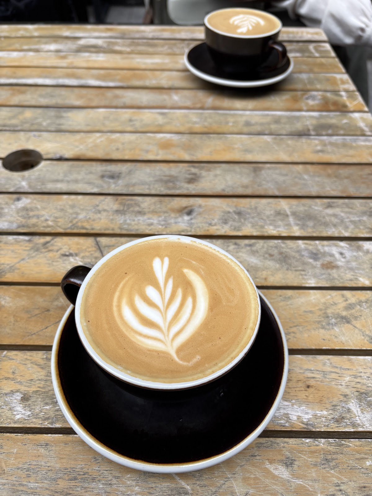 Sendero Specialty Coffee — café photo 3