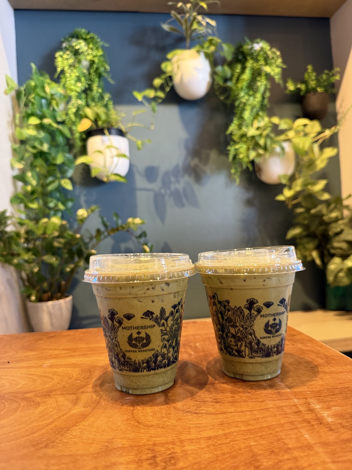 Mothership Coffee Sunset Park — café photo 6