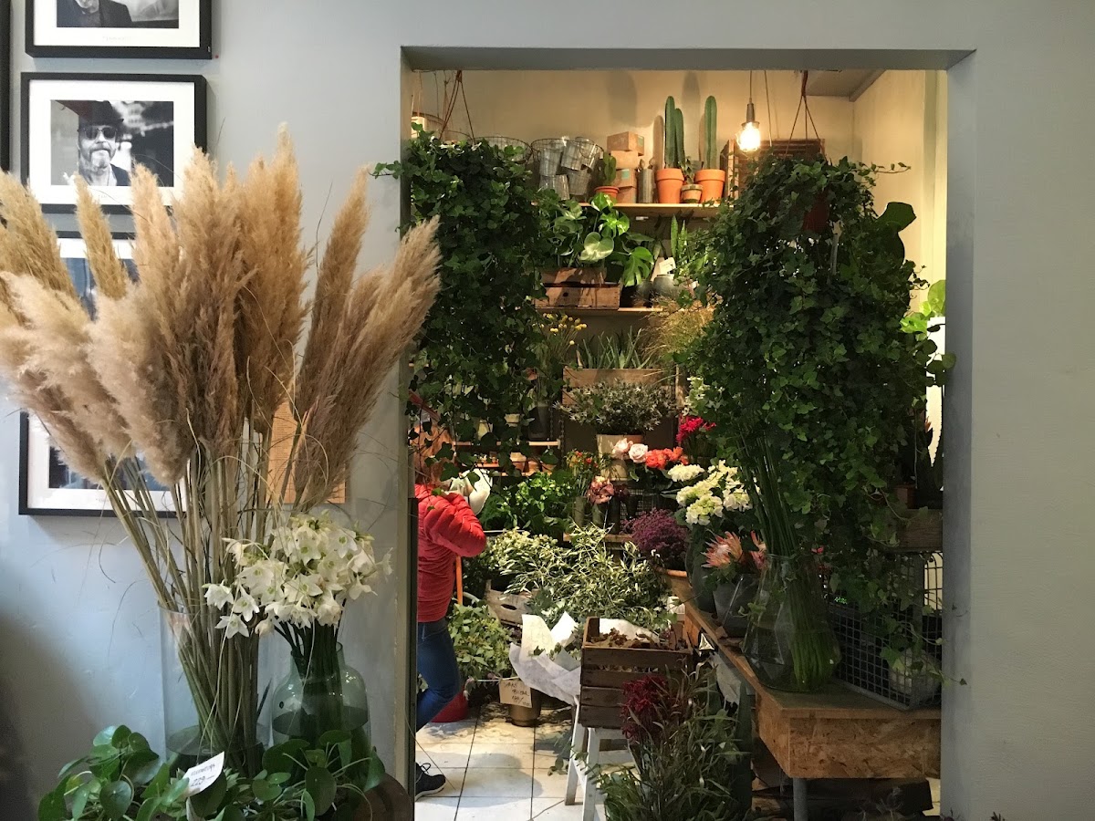 Il Caffe Sodermalm — café photo 6