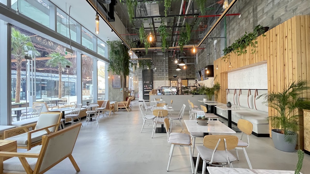 Draft Coffee — café photo 1
