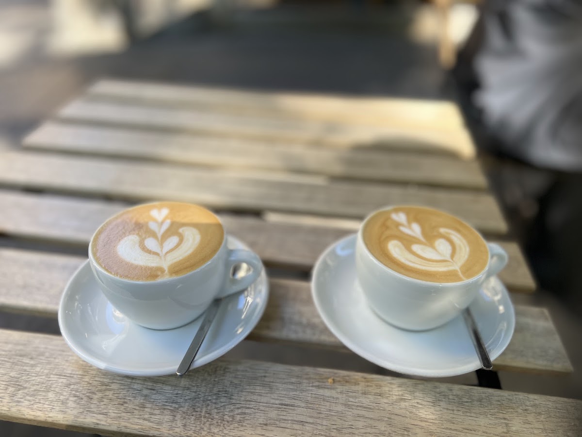 Orsonero Coffee — café photo 4
