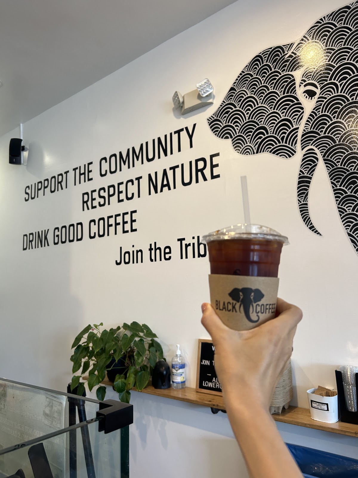 Black Elephant Coffee (Atwater Village) — café photo 3