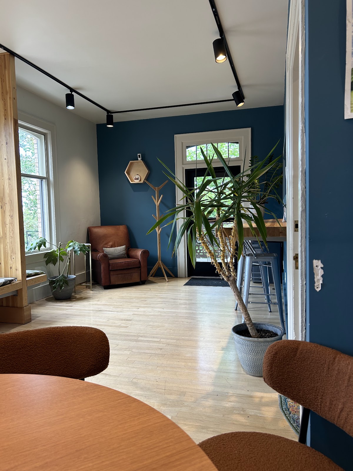 Ladder Coffee — café photo 6