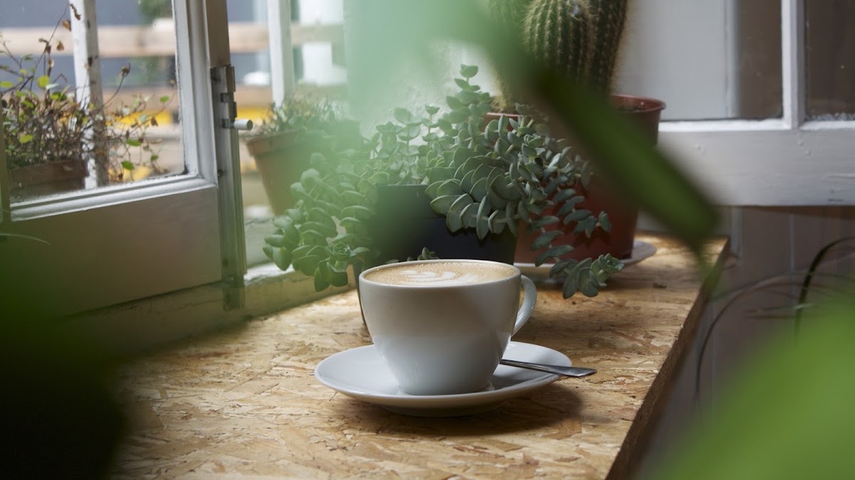 Brunswick East, Dalston — café photo 3