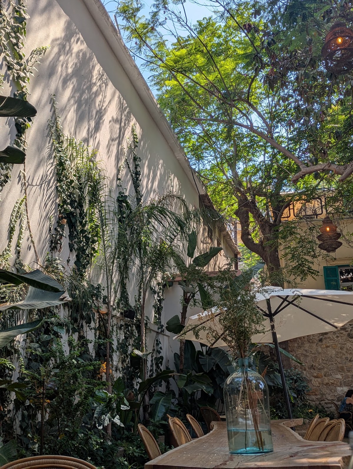 Kalei Coffee Co. — café photo 6