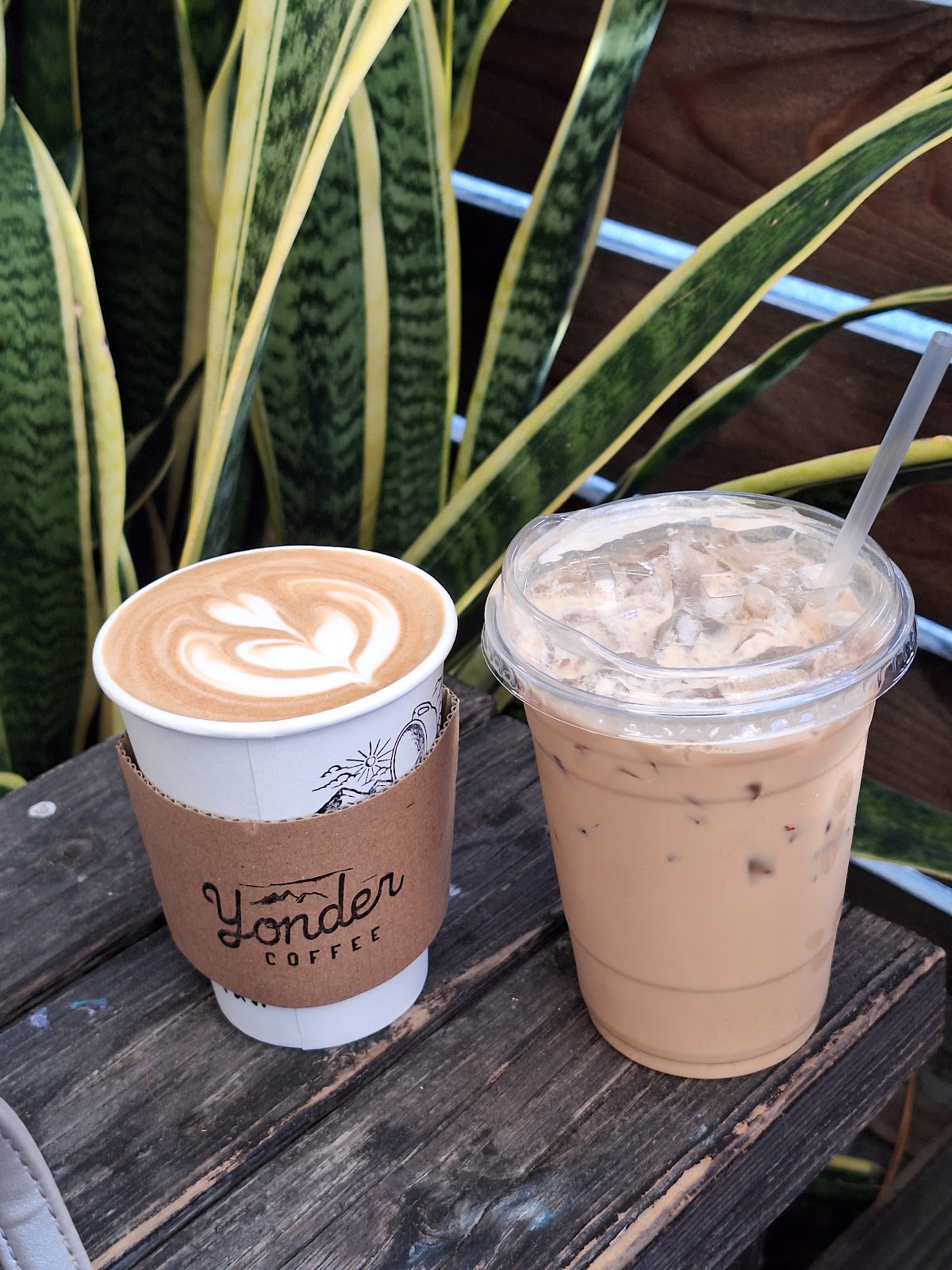 Yonder Coffee — café photo 4