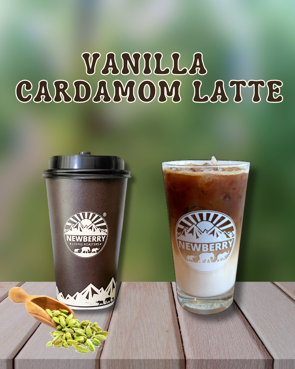 Newberry Coffee and Tea — café photo 5