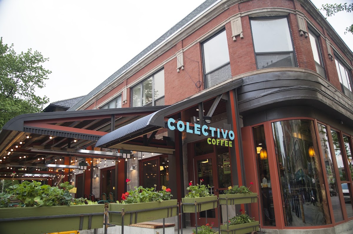 Colectivo Coffee Lincoln Park — café photo 1