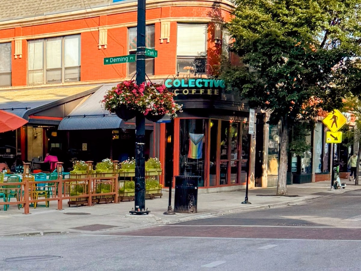 Colectivo Coffee Lincoln Park — café photo 3