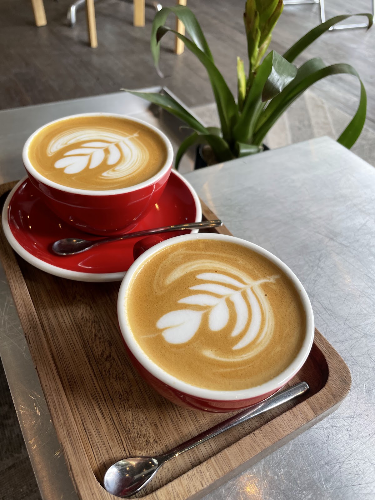 All Saints Café — café photo 2