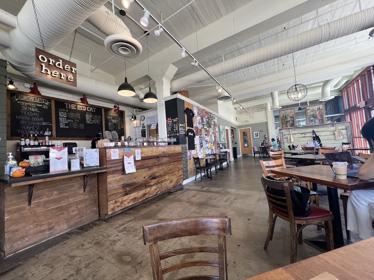 Red Cat Coffee House — café photo 3