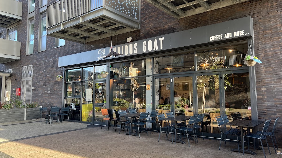 CURIOUS GOAT — café photo 6