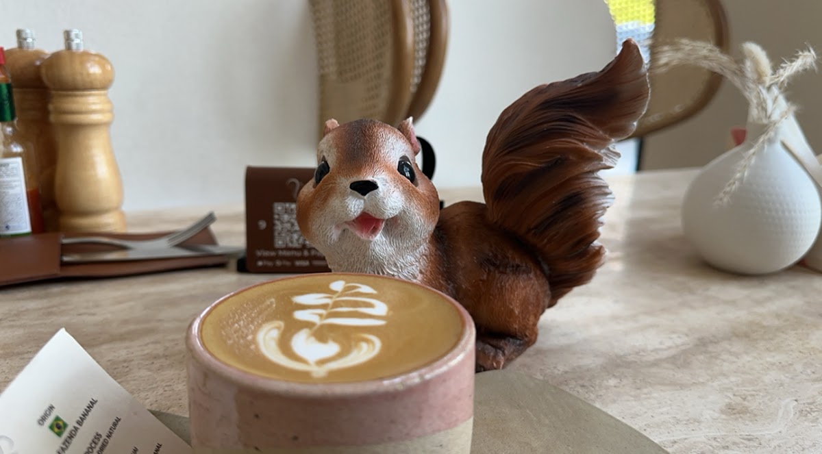 Nuts Coffee Bar — café photo 4