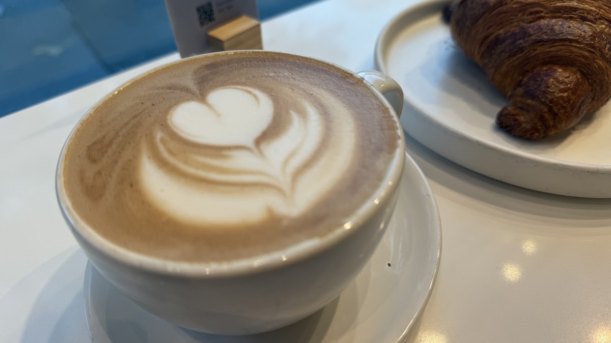 Blue Bottle Coffee Berkeley — café photo 4