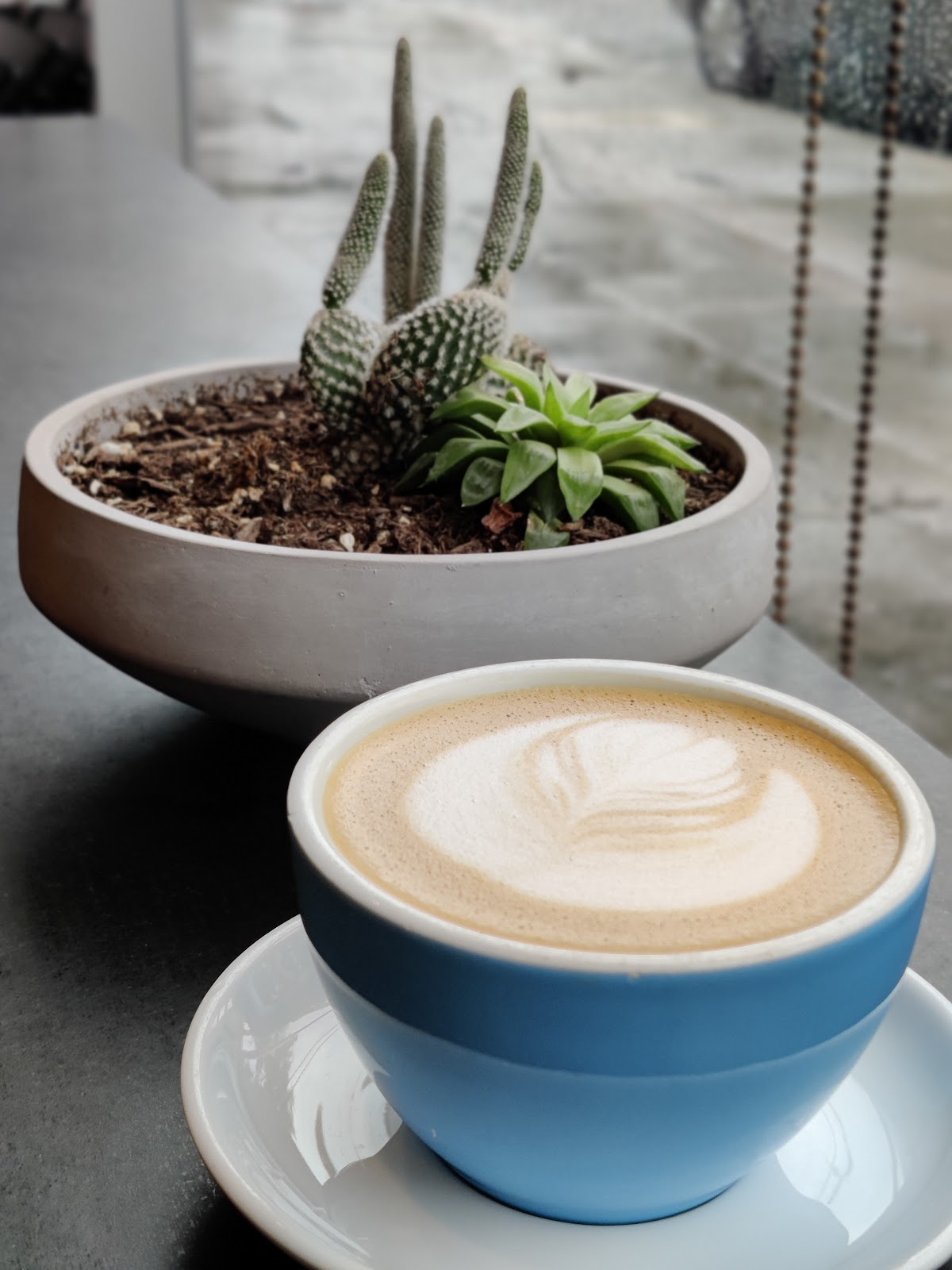 Cognoscenti Coffee — café photo 3