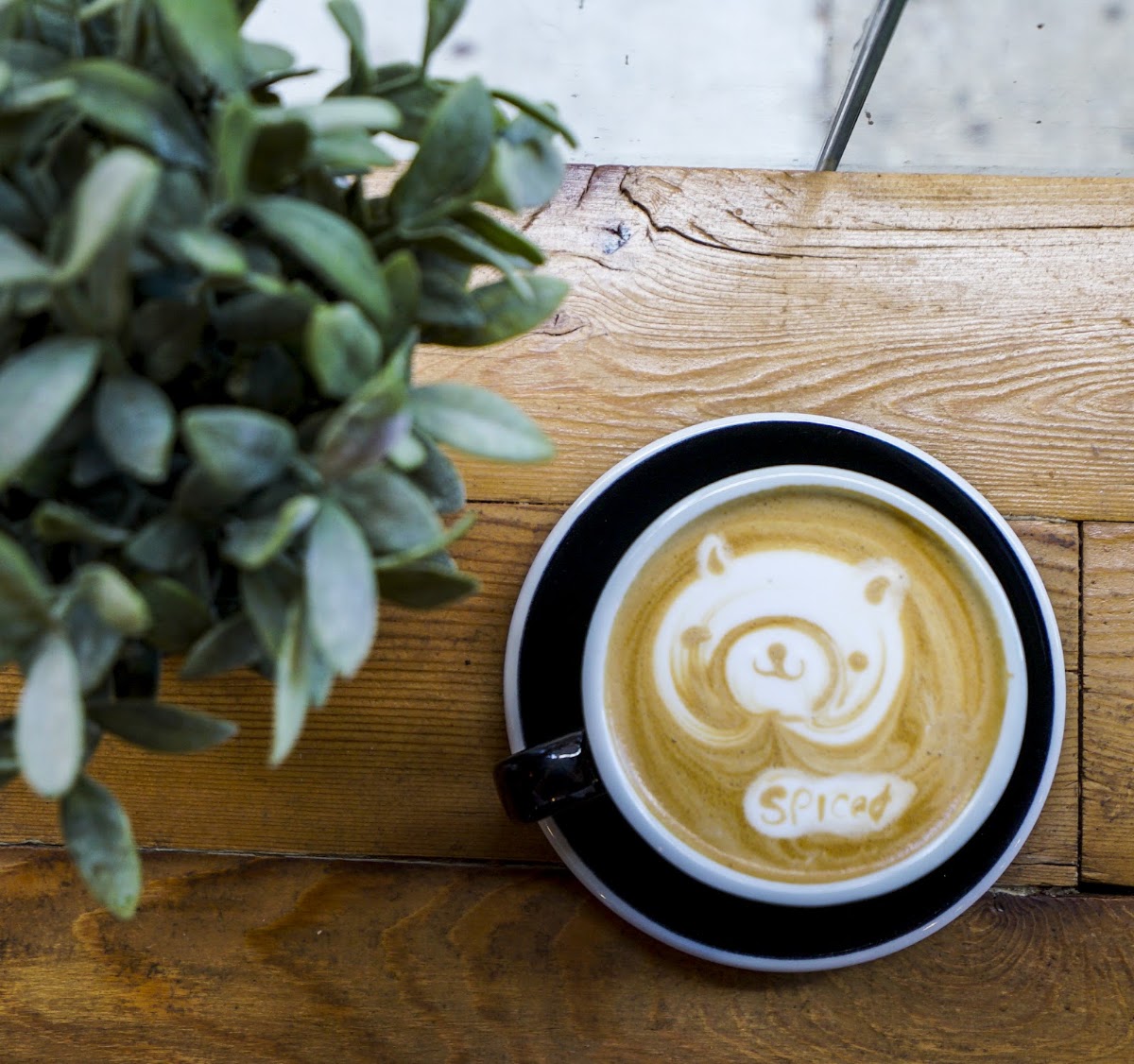 Bibble & Sip — café photo 2