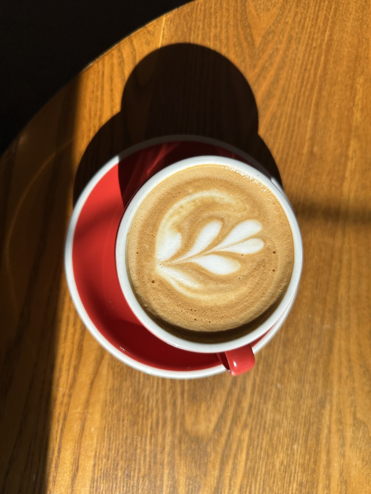 Thunderbird Coffee Manor — café photo 3