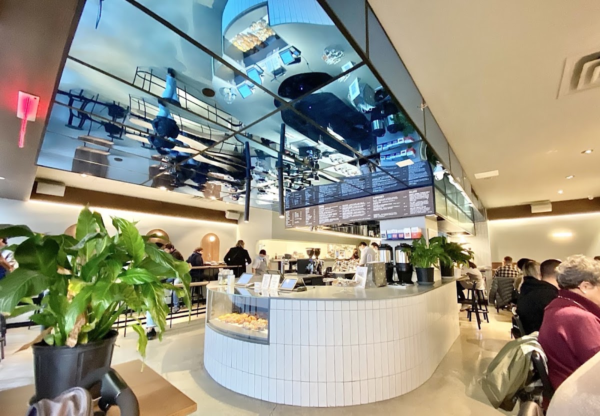Little Collins — café photo 1