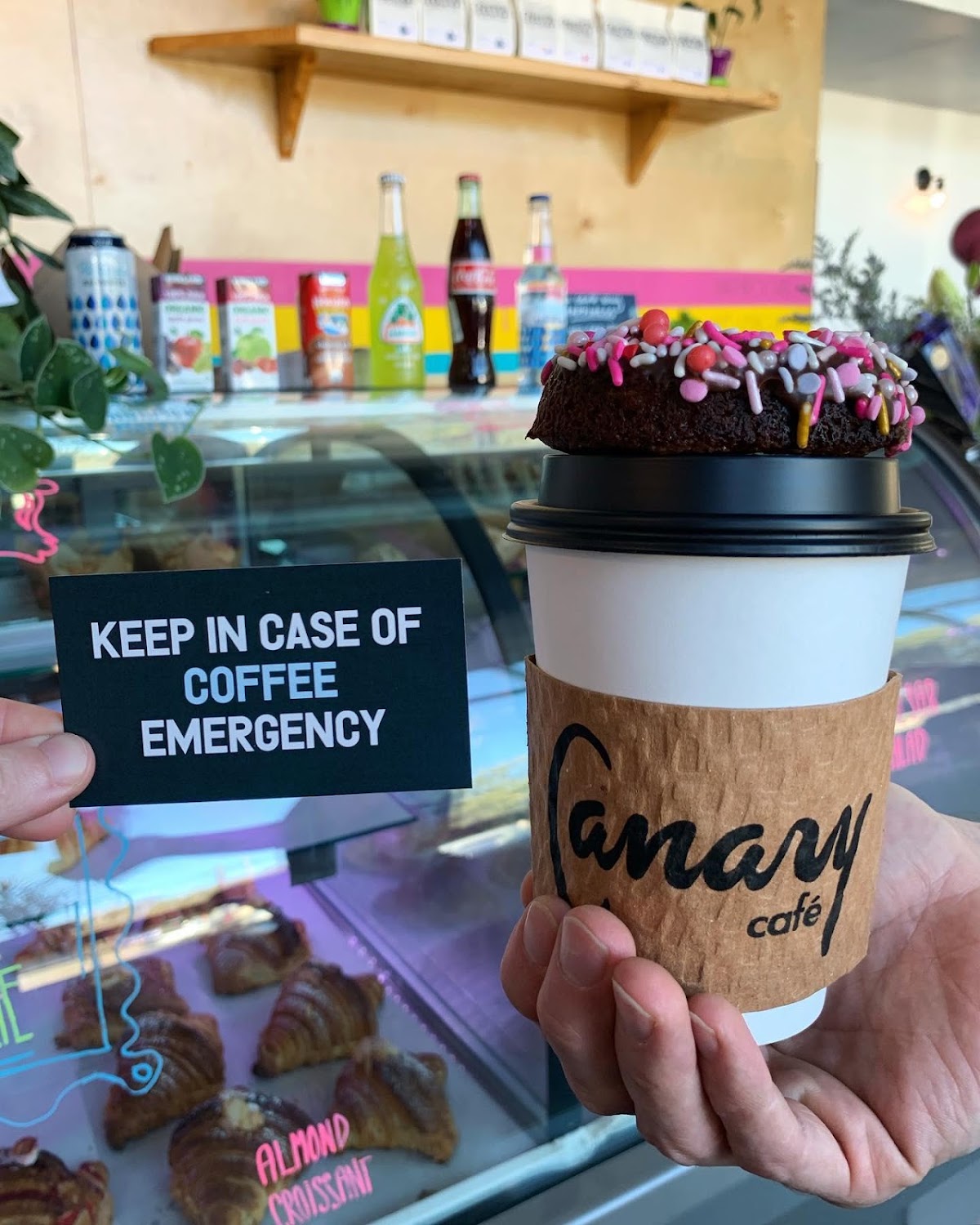 Inversion Coffee House — café photo 6