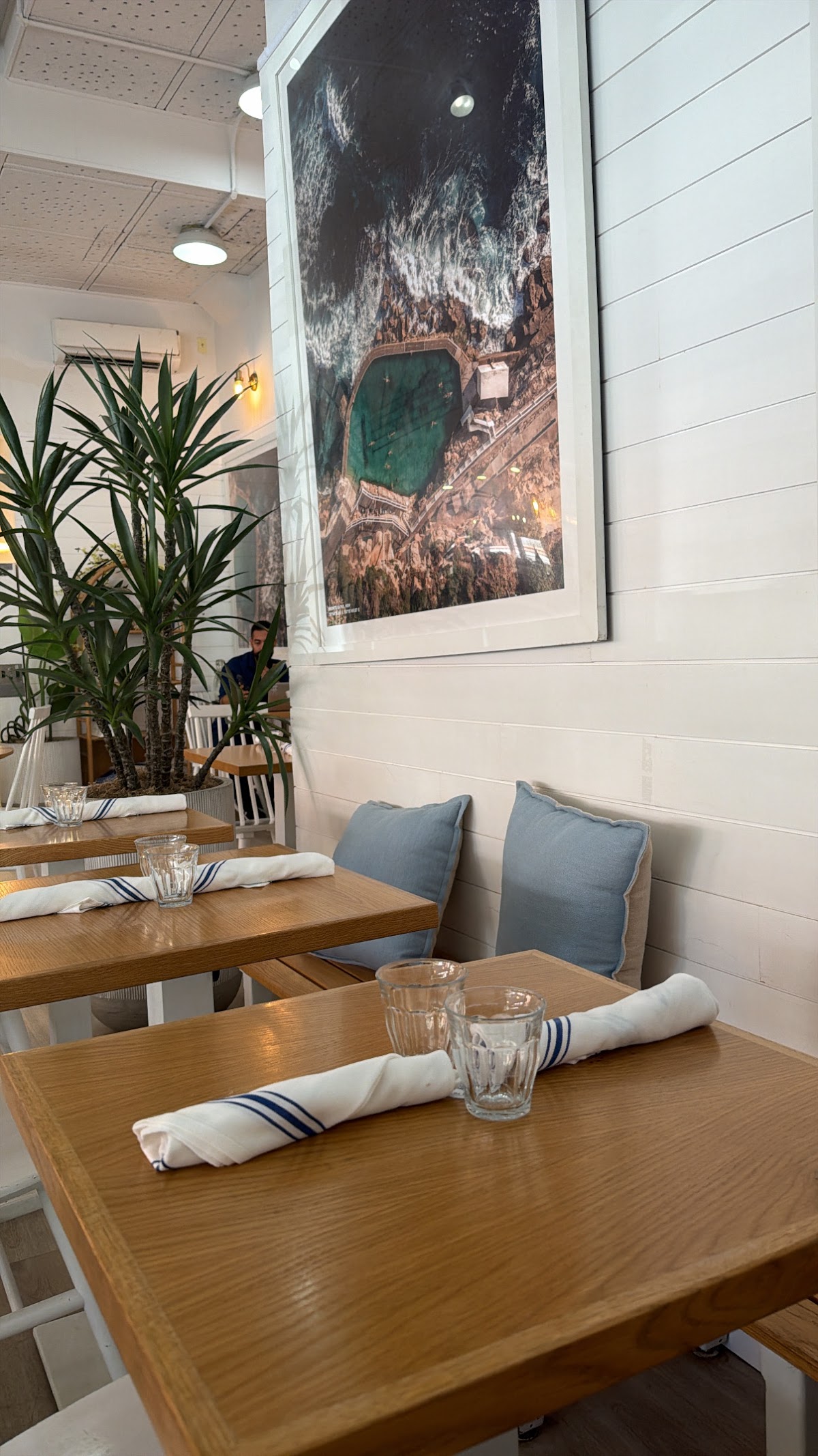 Bluestone Lane Tribeca Café — café photo 5